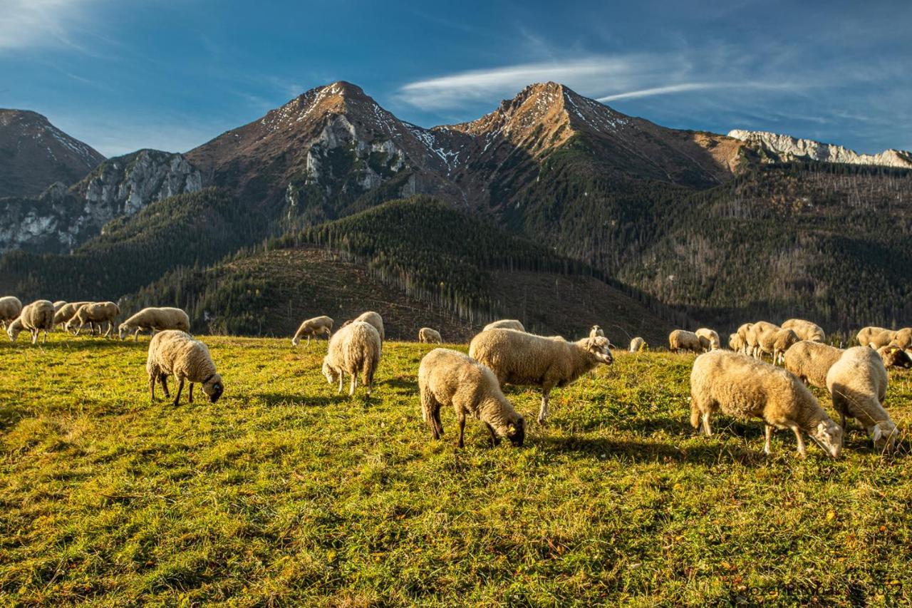 Ubytovanie U Matka A Kubka Ždiar Zewnętrze zdjęcie